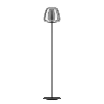 Eglo - Lampadaire LED RGBW à intensité variable LED/15,5W/230V 2700-6500K fumé