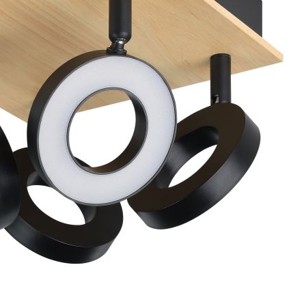 Eglo - LED spot 4xLED/4,2W/230V zwart/bruin