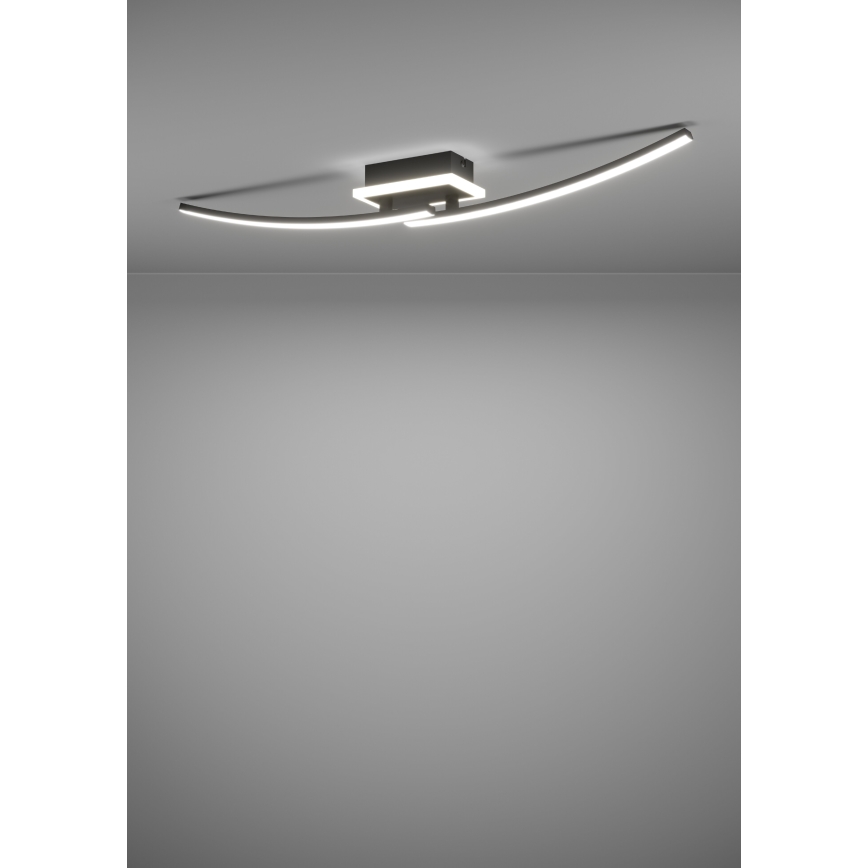 Eglo - LED Plafondlamp LED/12W/230V 4000K zwart