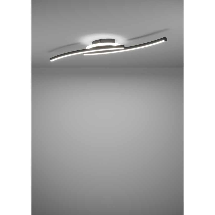 Eglo - LED Plafondlamp LED/12W/230V 4000K zwart