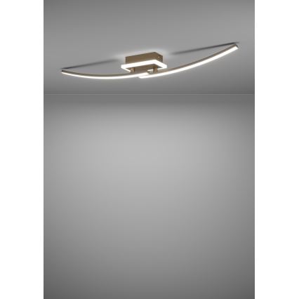 Eglo - LED Plafondlamp LED/12W/230V 4000K koper