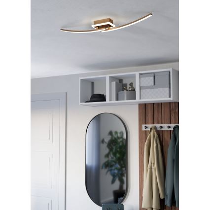 Eglo - Plafonnier LED/12W/230V 4000K cuivre