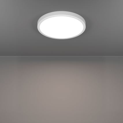 Eglo - LED plafondlamp LED/14,2W/230V 2700/4000/6500K Ø 27,8 cm wit