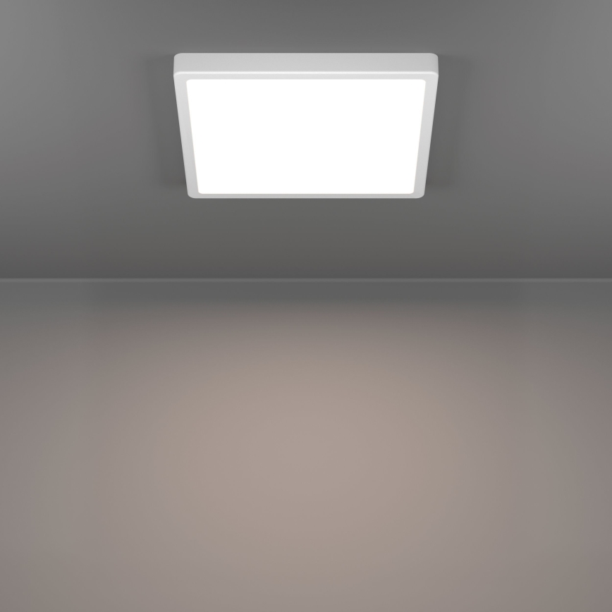 Eglo - LED plafondlamp LED/13W/230V 2700/4000/6500K 29x29 cm wit