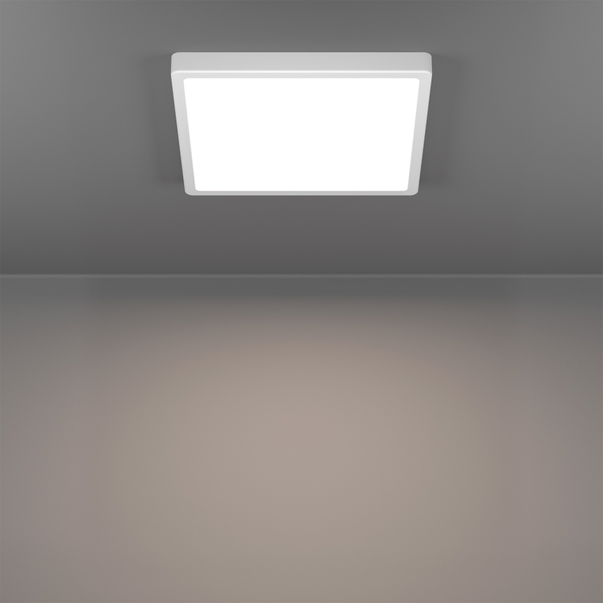 Eglo - Plafonnier LED RGBW dimmable pour salle de bains LED/13,5W/230V 2700-6500K 29,5x29,5 cm IP44 blanc