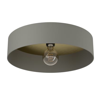 Eglo - Plafondlamp 1xE27/40W/230V grijs