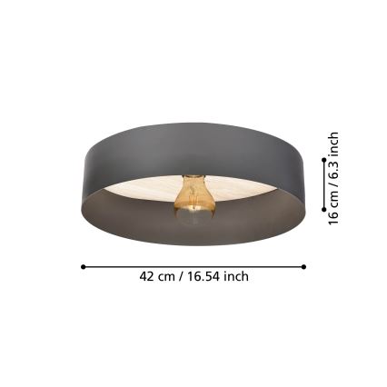 Eglo - Plafondlamp 1xE27/40W/230V grijs