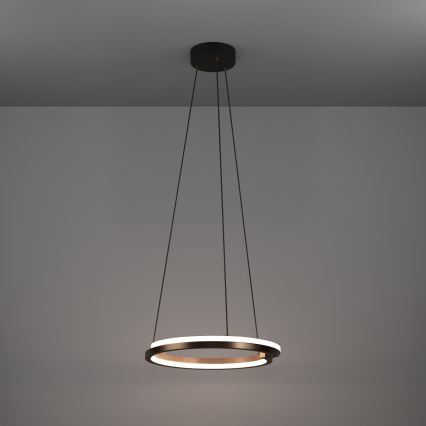 Eglo - LED dimbare hanglamp aan kabel 2xLED/20W/230V 2700-6500K Ø 48 cm bronskleurig + afstandsbediening