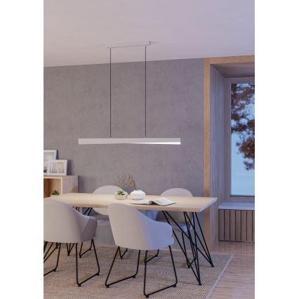Eglo - LED RGBW dimbare hanglamp met kabelophanging LED/19W/230V 2700-6500K grijs