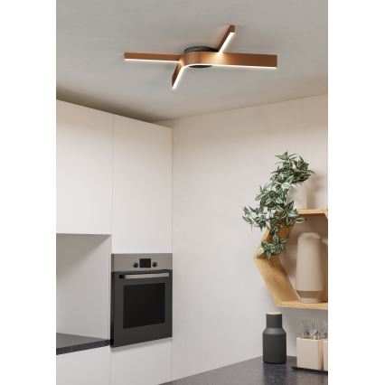 Eglo - Plafonnier LED RGBW dimmable 2xLED/18W/230V cuivré/noir