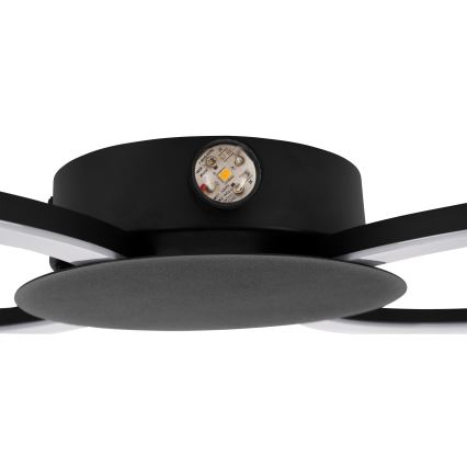 Eglo - LED wandlamp LED/20W/230V + LED/0,91W zwart