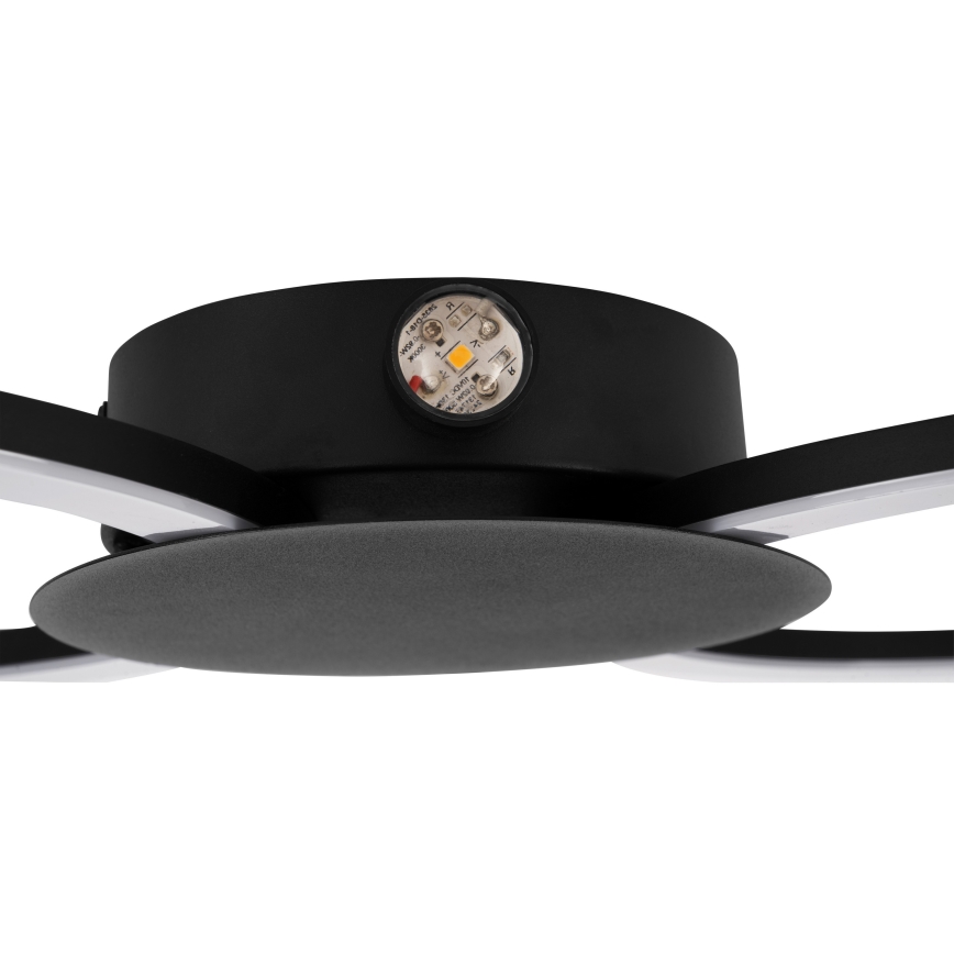 Eglo - LED wandlamp LED/20W/230V + LED/0,91W zwart