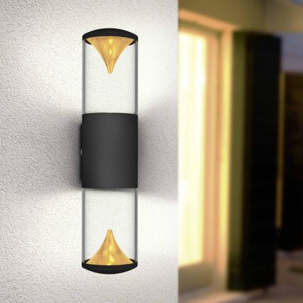 Eglo 94818 - Luminaire extérieur LED PENALVA 1 2xLED/3,7W/230V IP44