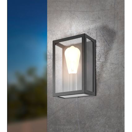 Eglo - Luminaire extérieur 1xE27/60W/230V IP44