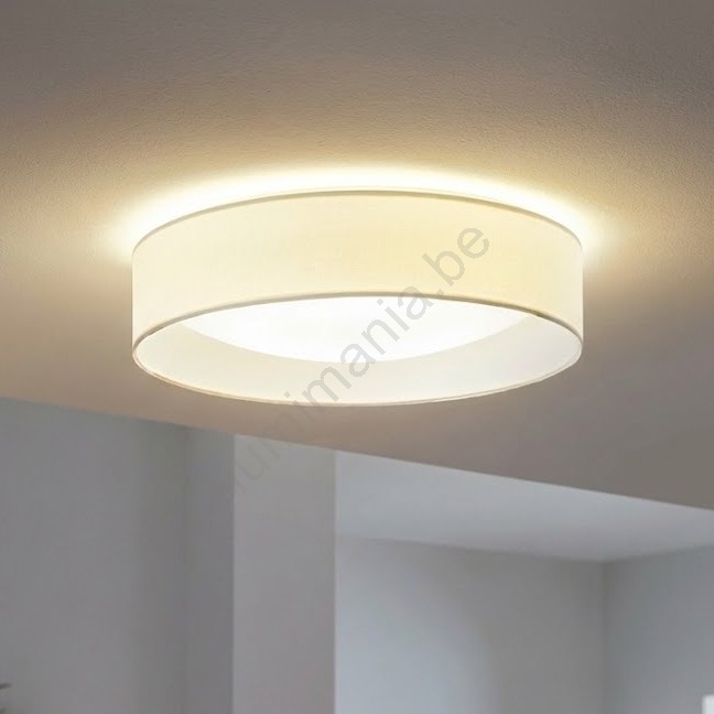 Plafondverlichting | Professioneel, kantoor, projectinrichting