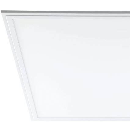 Eglo - Panneau LED plafond LED/40W/230V