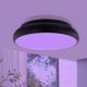 Eglo 96996 - LED RGB Plafond Lamp RIODEVA-C 1xLED/27W/230V