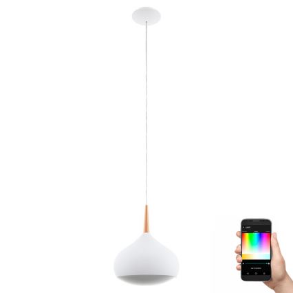 Eglo 97087 - LED RGBW dimbare hanglamp COMBA-C 1xLED/18W/230V
