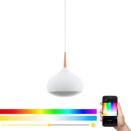 Eglo 97087 - LED RGBW dimbare hanglamp COMBA-C 1xLED/18W/230V