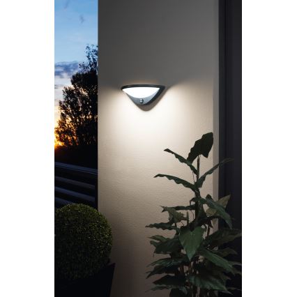 Eglo 97312-Applique murale extérieure avec détecteur BELCREDA LED/9,3W/230V IP44