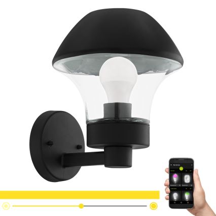 Eglo 97446 - Applique murale LED extérieur à intensité variable VERLUCCA-C 1xE27/9W/230V IP44 Bluetooth