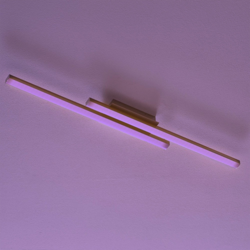 Eglo - LED RGB Dimbare Opbouwlamp FRAIOLI-C 2xLED/17W/230V