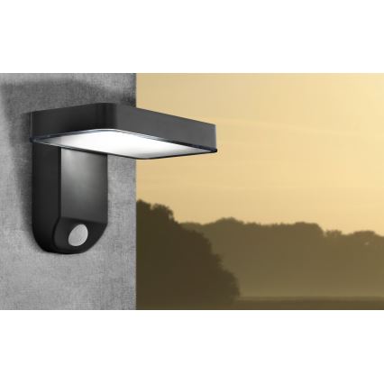 Eglo - LED Solar wandlamp met sensor LED/4,5W/3,7V 2200 mAh IP44