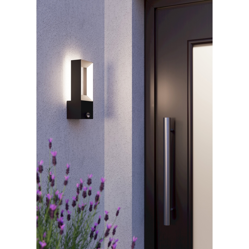 Eglo - Luminaire LED extérieur avec capteur 2xLED/5W/230V IP44