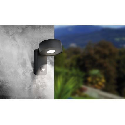 Eglo - Applique murale d'extérieur LED avec détecteur LED/6W/230V IP44
