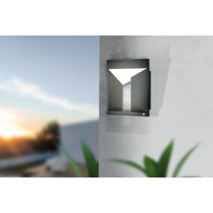 Eglo - Applique murale LED d'extérieur LED/10W/230V IP54