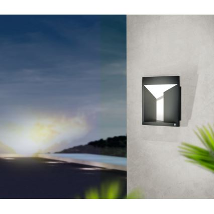 Eglo 98748 - LED buitenwandlamp NEMBRO LED/10W/230V IP54