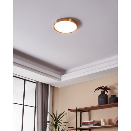 Eglo - Plafonnier LED dimmable pour salle de bains LED/19,5W/230V 2700-6500K IP44 ZigBee pr. 28,5 cm