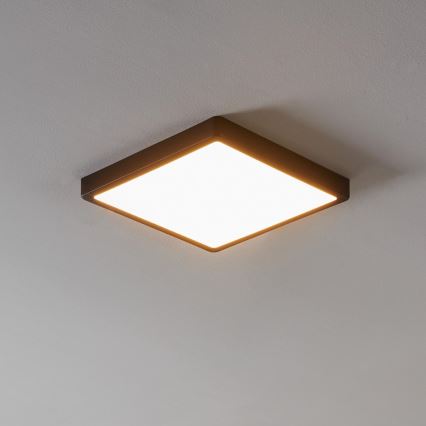 Eglo - LED dimbaar badkamerarmatuur LED/19,5W/230V IP44 ZigBee