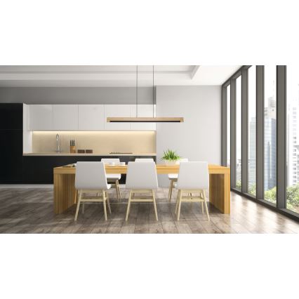 Eglo - LED dimbare hanglamp aan kabel LED/25,5W/230V