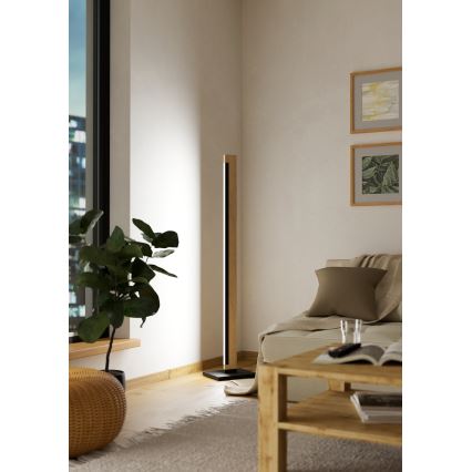 Eglo - LED Dimbaar aanraken Staande lamp CAMACHO LED/22W/230V