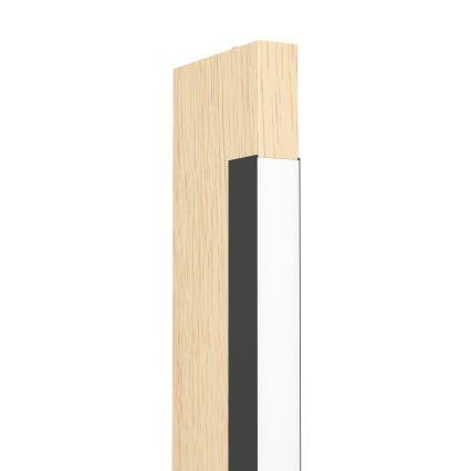 Eglo - LED Dimbaar aanraken Staande lamp CAMACHO LED/22W/230V