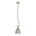 Eglo 99313 - Suspension à câble LEBALIO 1xE27/40W/230V