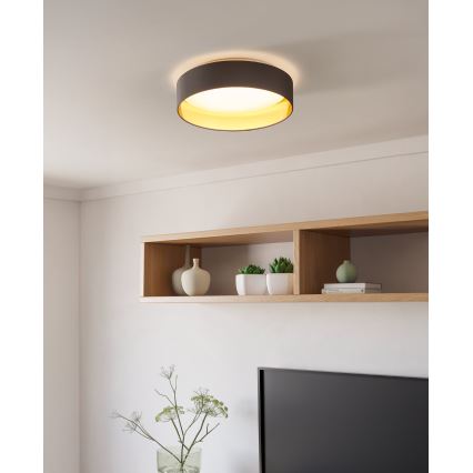 Eglo - Plafonnier LED LED/24W/230V