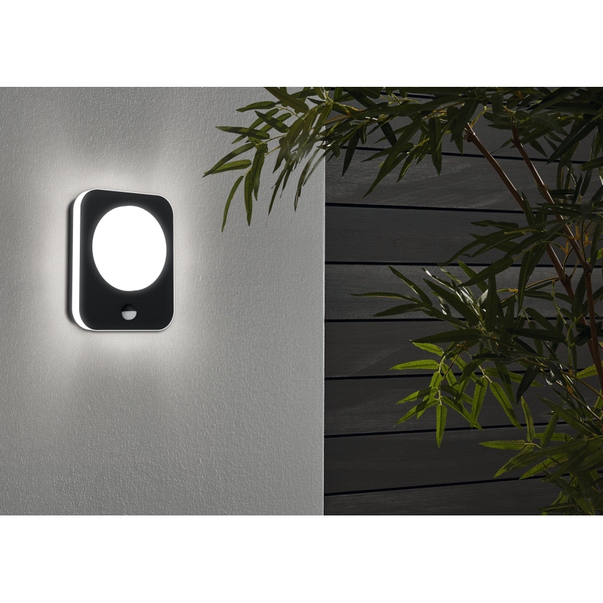 Eglo - Applique murale LED extérieur avec capteur  LED/9W/230V IP44