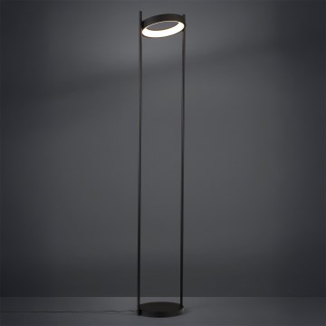 Eglo - Dimbare LED Staande lamp LED/20W/230V 3000K zwart