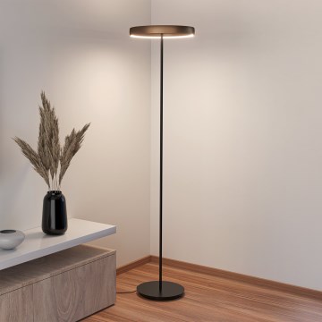 Eglo - dimbare LED staande lamp met bewegingssensor 2xLED/19W/230V 2200-6500K bruin