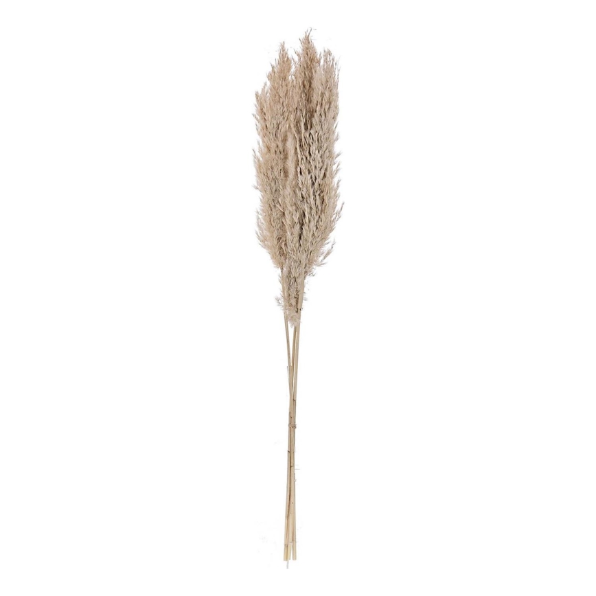 Eglo - Fleur séchée 85 cm beige