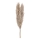 Eglo - Gedroogde bloem 55 cm beige