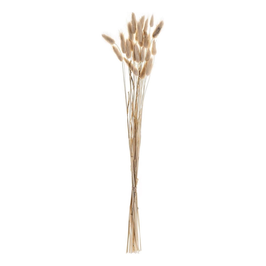 Eglo - Gedroogde bloem 60 cm beige