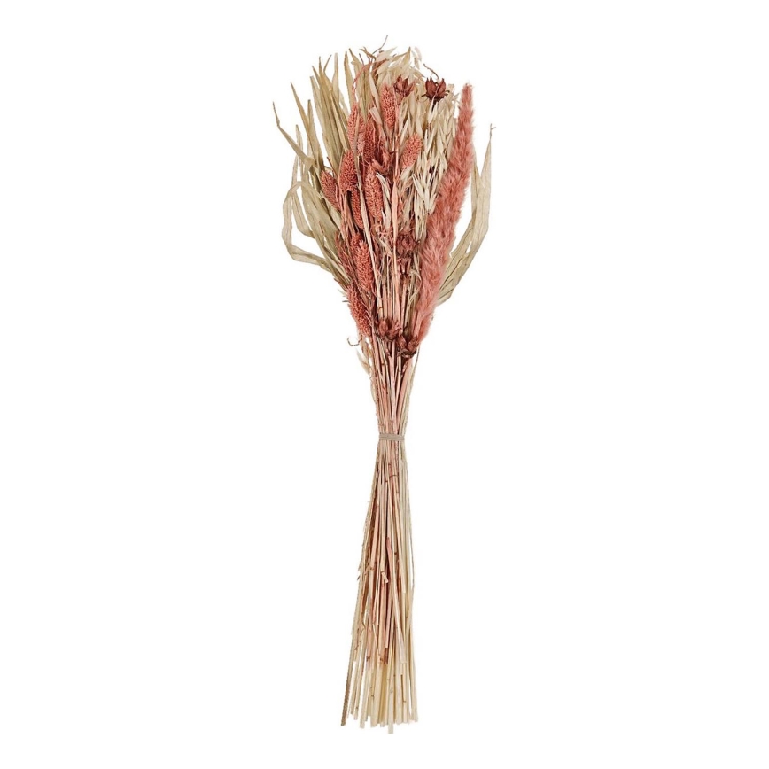 Eglo - Gedroogde bloem 60 cm oranje