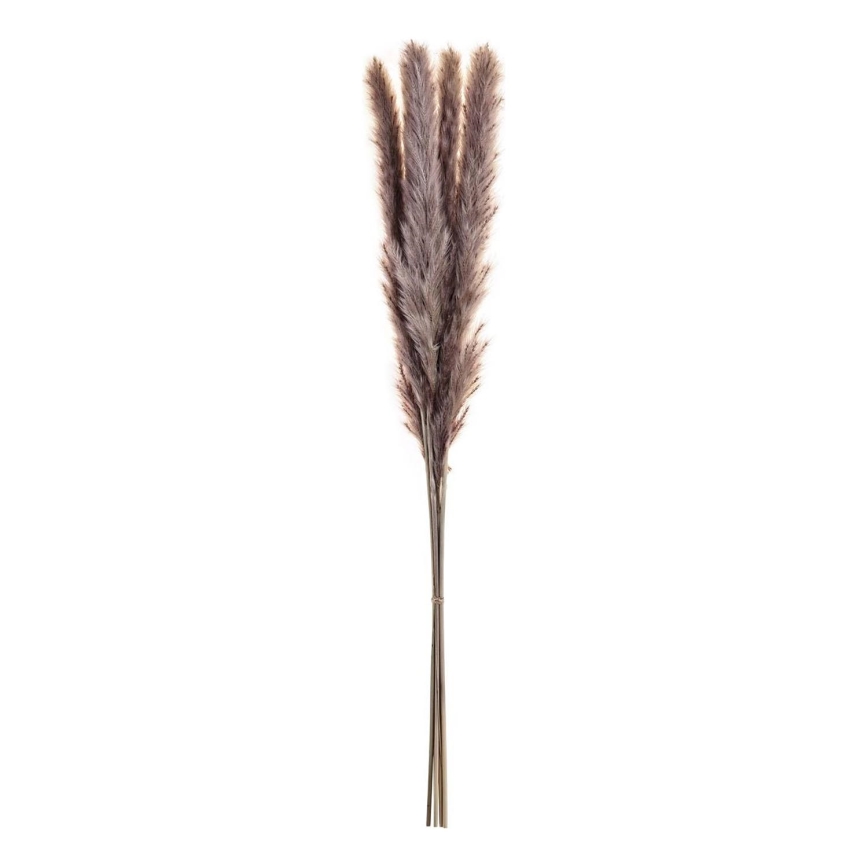 Eglo - Gedroogde bloem 60 cm paars