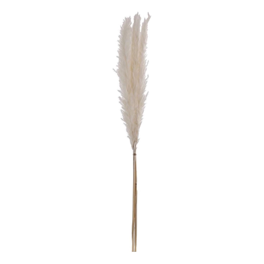 Eglo - Gedroogde bloem 70 cm wit