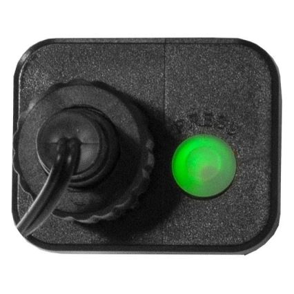 Eglo 472-53 - Guirlande de noël d'extérieur BERRY MINI 700xLED/8 fonctions 14m multicolore IP44