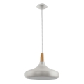 Eglo - Hanglamp aan een koord 1xE27/40W/230V diameter 40 cm zilver - FSC gecertificeerd