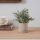 Eglo - Kunstplant in bloempot 24x16 cm